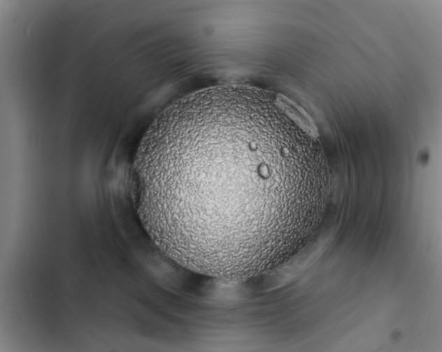 X0000102770093200808251102