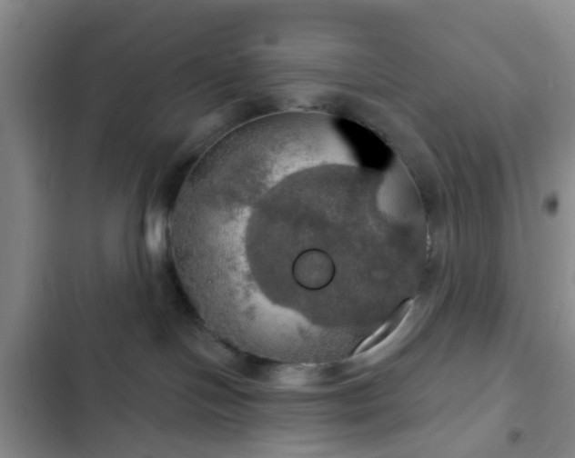 X0000102770094200808251102