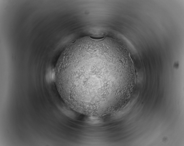 X0000102770095200808251102