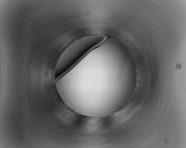 X0000102770096200808251102