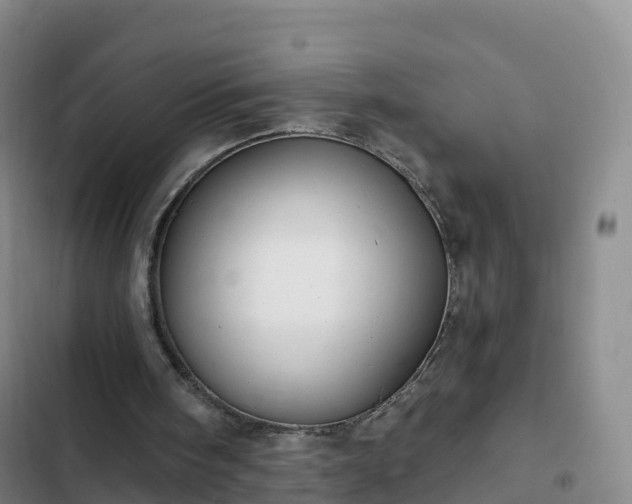 X0000102770098200808251102