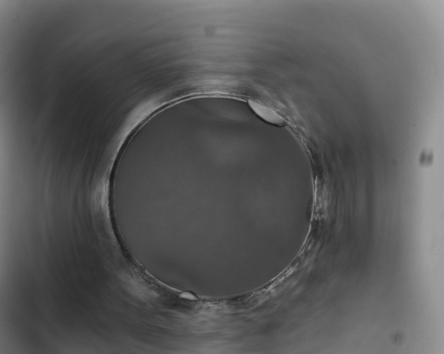 X0000102770099200808251102