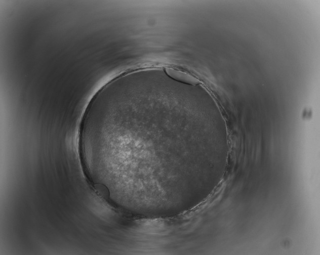 X0000102770100200808251102