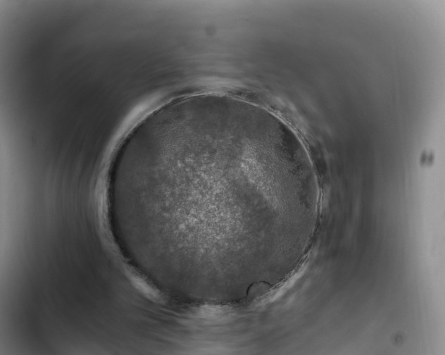 X0000102770101200808251102