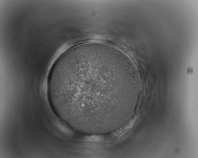 X0000102770102200808251102