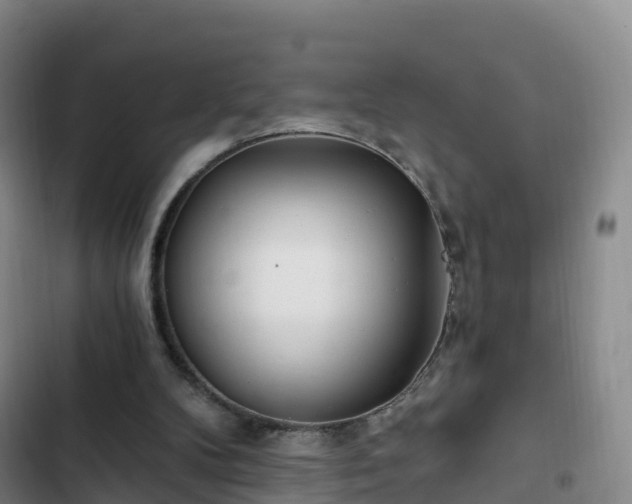 X0000102770104200808251101