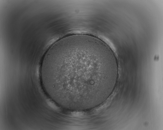 X0000102770105200808251101