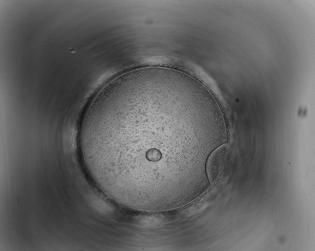 X0000102770106200808251101