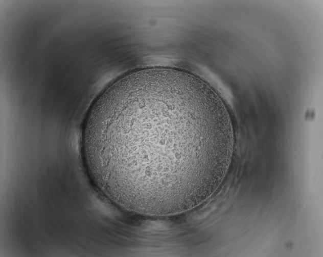 X0000102770107200808251101