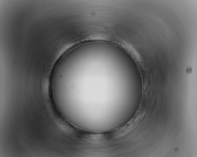 X0000102770108200808251101