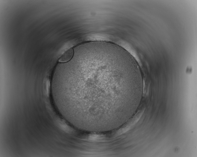 X0000102770109200808251101