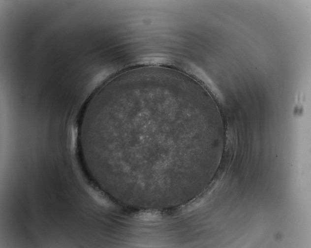 X0000102770110200808251101