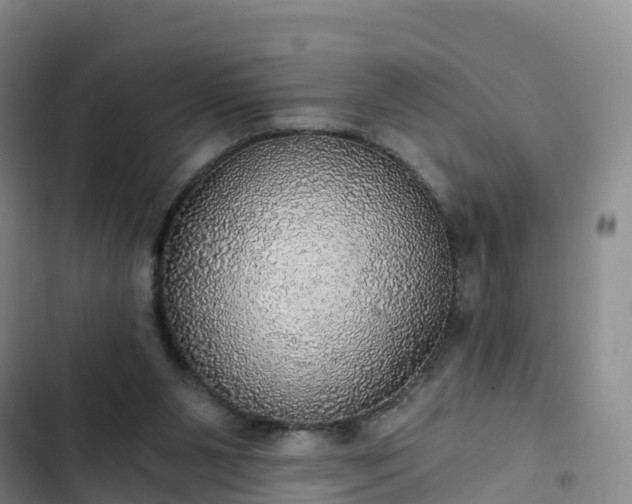 X0000102770111200808251101