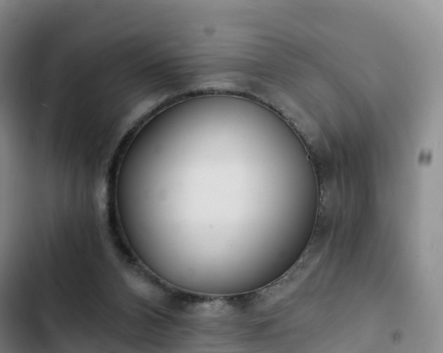 X0000102770112200808251101