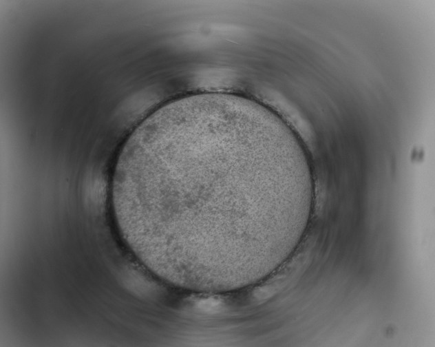 X0000102770113200808251101