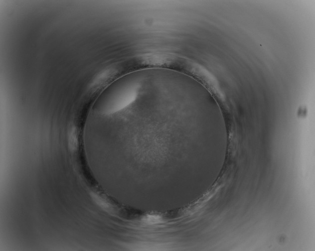 X0000102770114200808251101