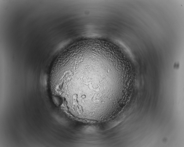 X0000102770115200808251101