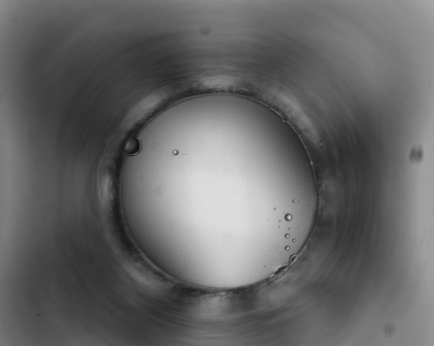 X0000102770116200808251101