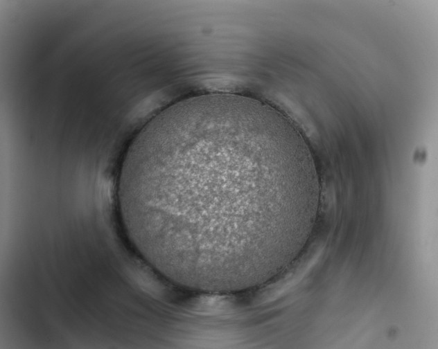 X0000102770117200808251101