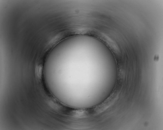 X0000102770118200808251101