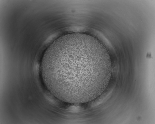 X0000102770119200808251101