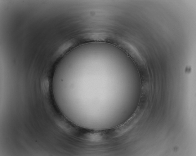 X0000102770120200808251101