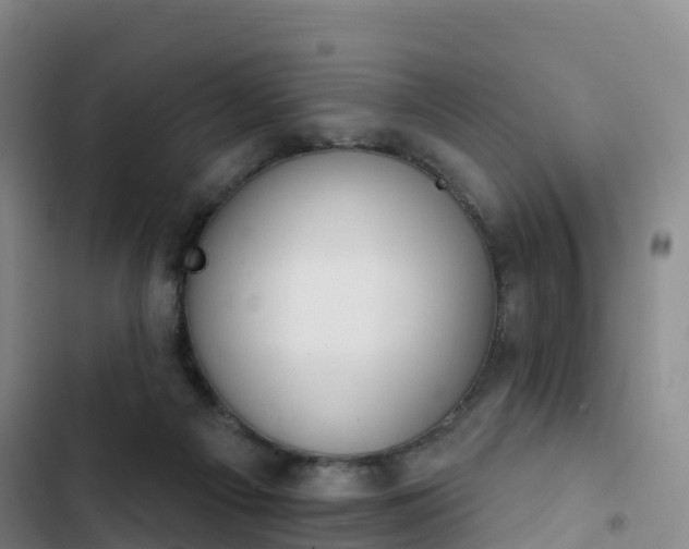 X0000102770121200808251101