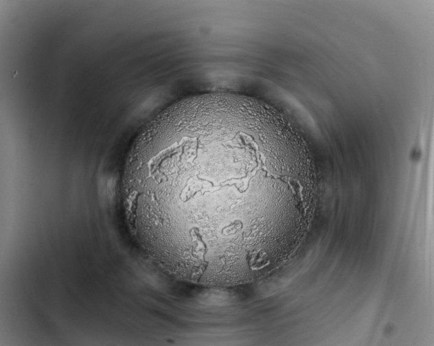 X0000102770123200808251101