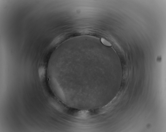 X0000102770124200808251101