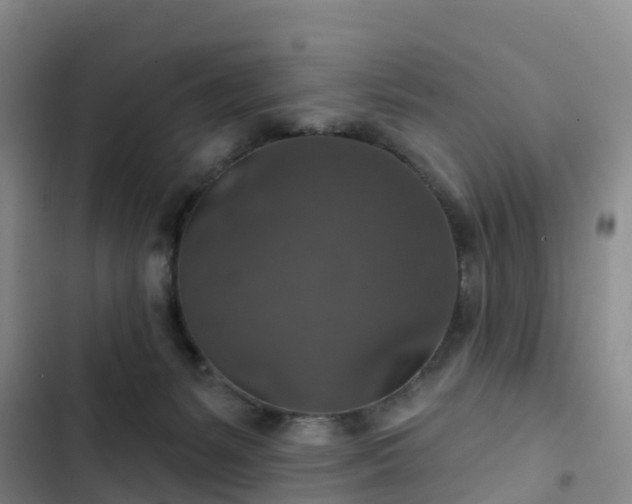 X0000102770127200808251101