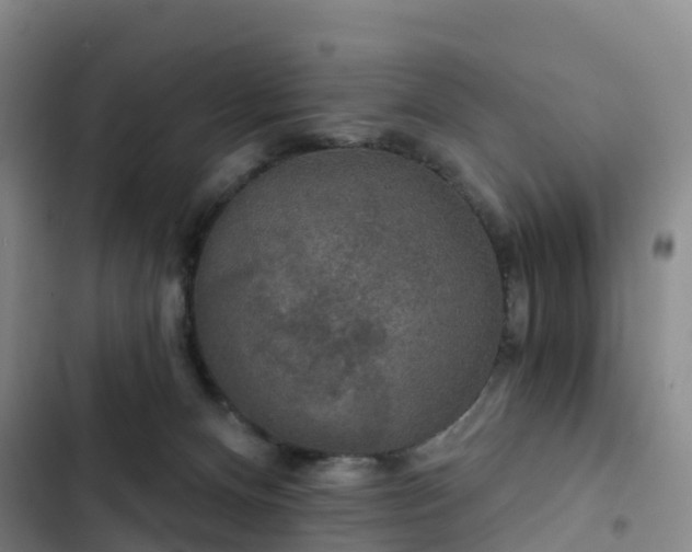 X0000102770128200808251101