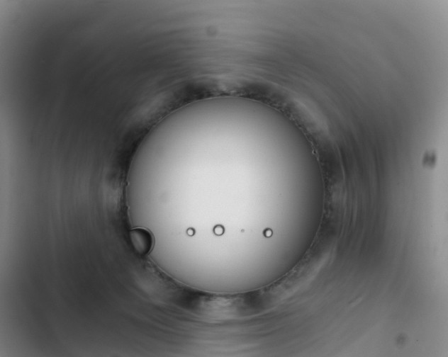 X0000102770129200808251101