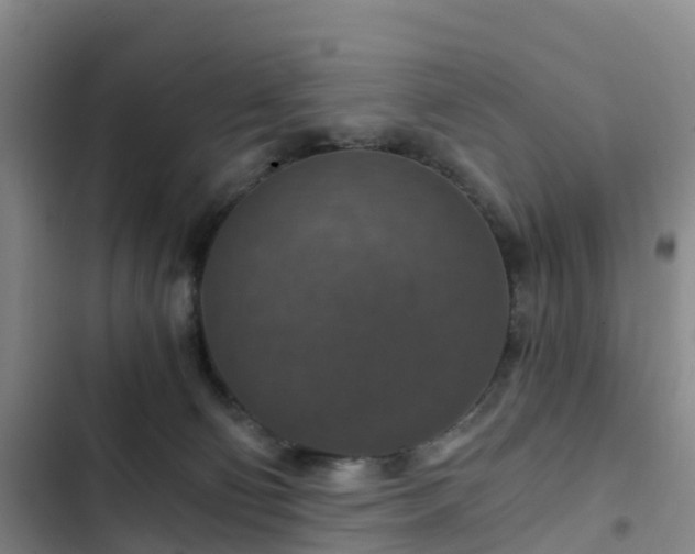 X0000102770130200808251101