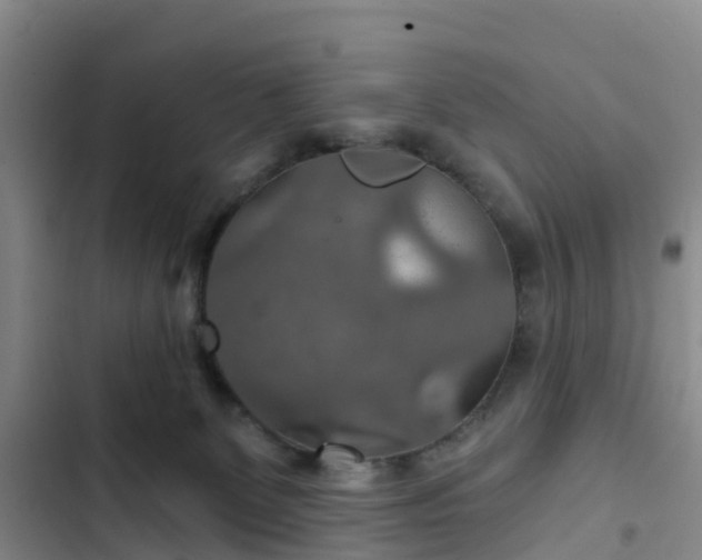 X0000102770131200808251101