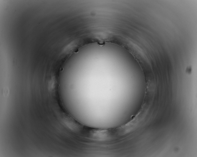 X0000102770132200808251101