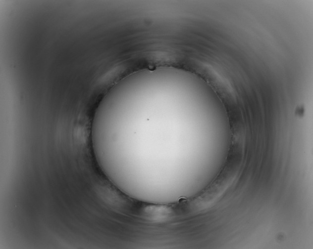 X0000102770133200808251101