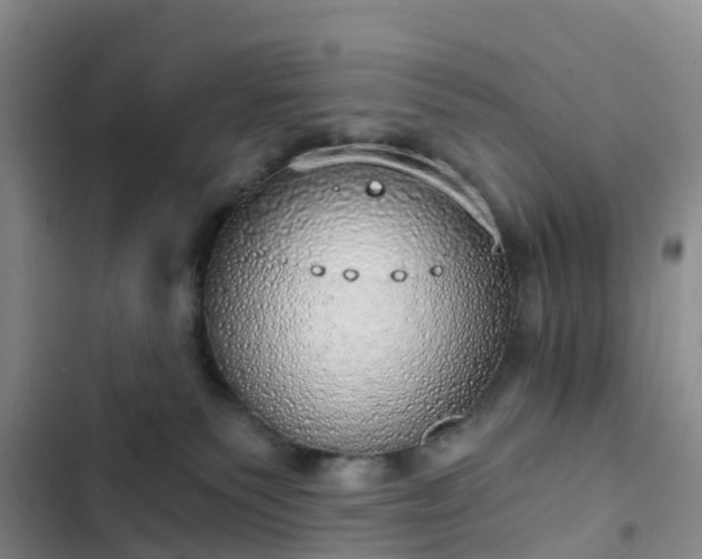 X0000102770135200808251101