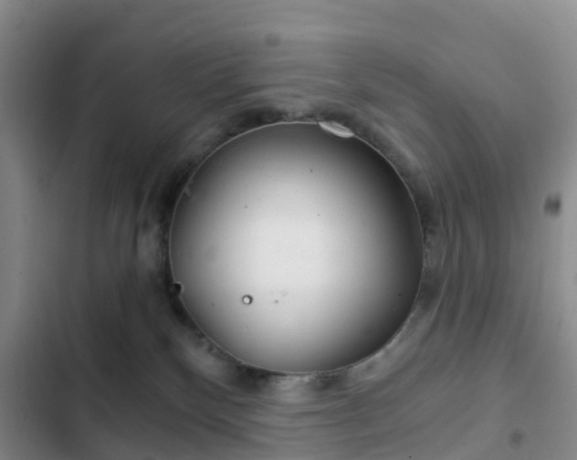 X0000102770136200808251101