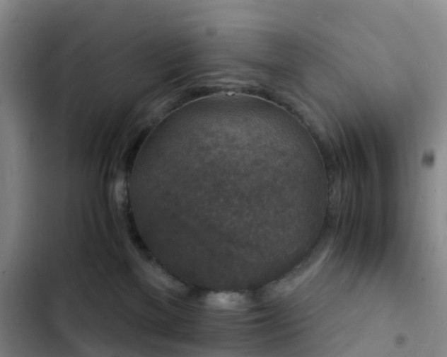 X0000102770137200808251101