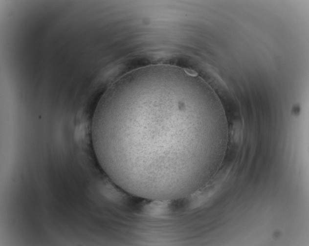 X0000102770138200808251101