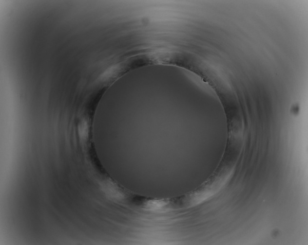 X0000102770139200808251101