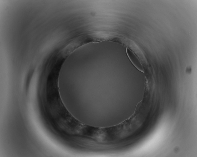 X0000102770143200808251101