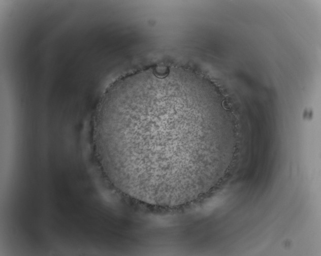 X0000102770144200808251101