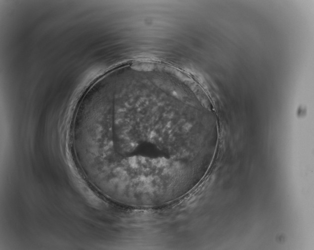 X0000102770145200808251100