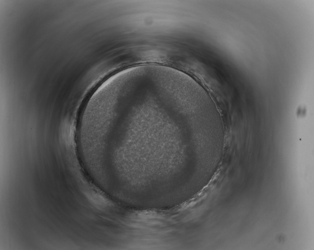 X0000102770146200808251100