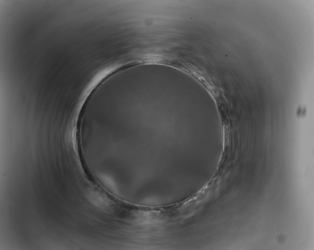 X0000102770147200808251100