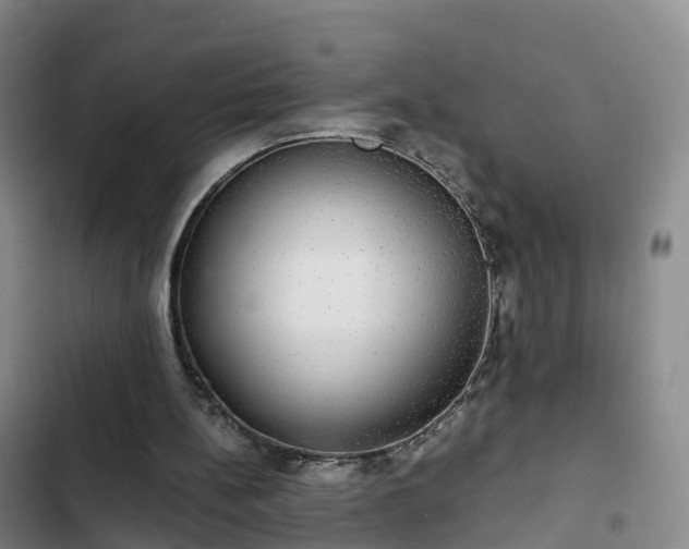 X0000102770148200808251100