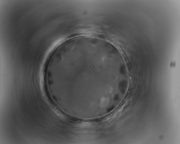 X0000102770149200808251100