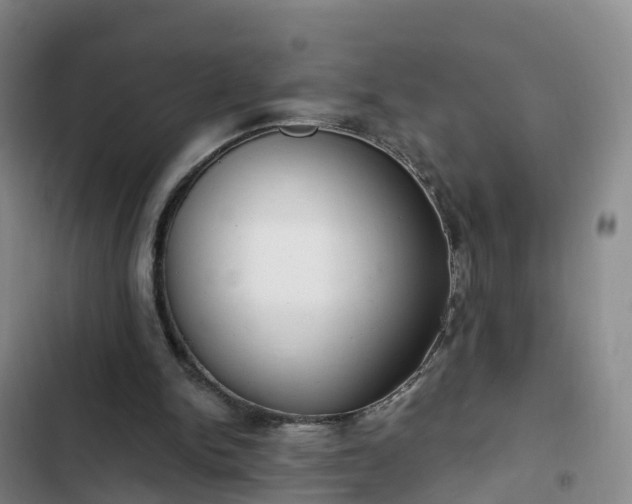 X0000102770150200808251100