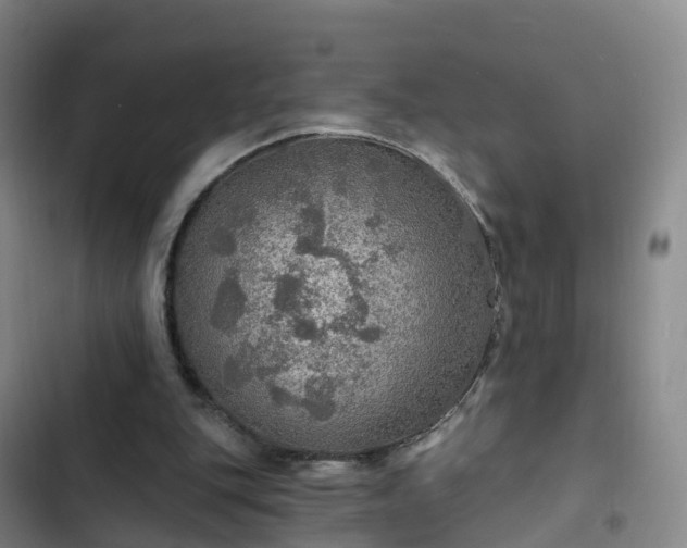 X0000102770151200808251100